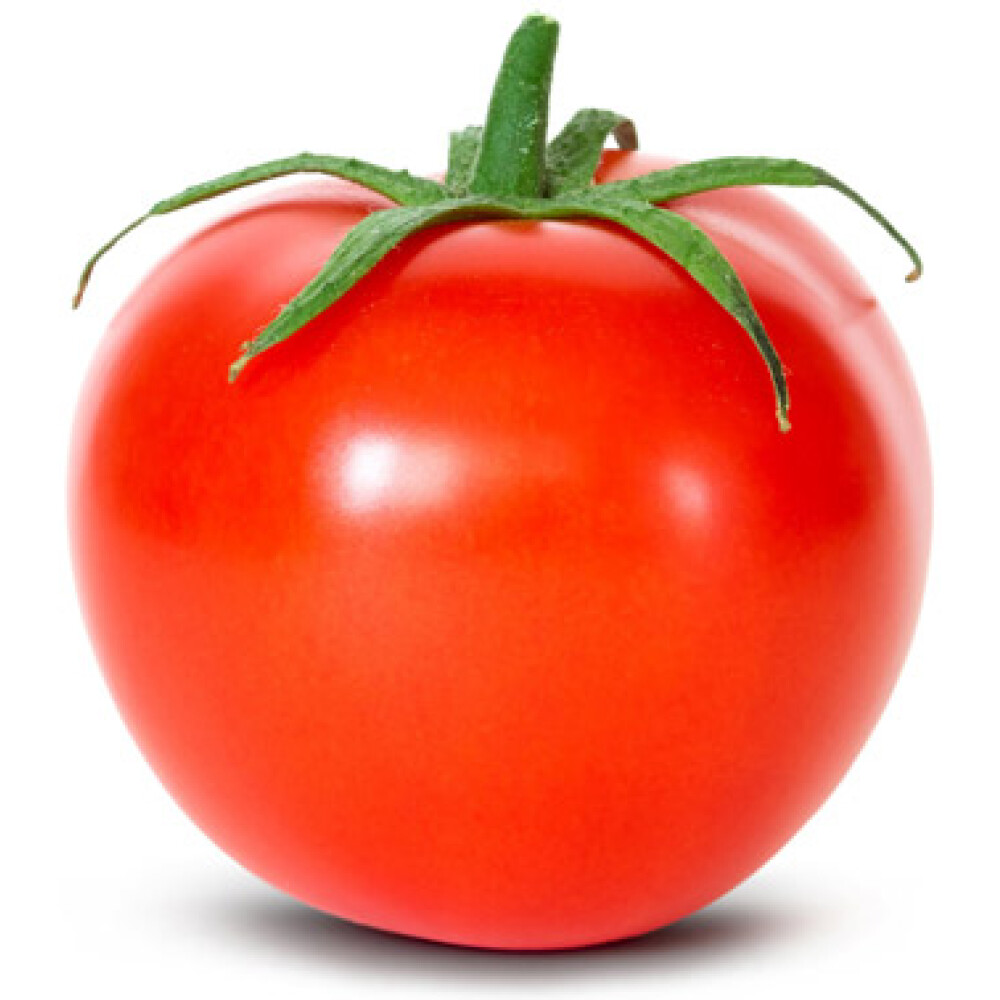 עגבניה אשכולות מובחרות