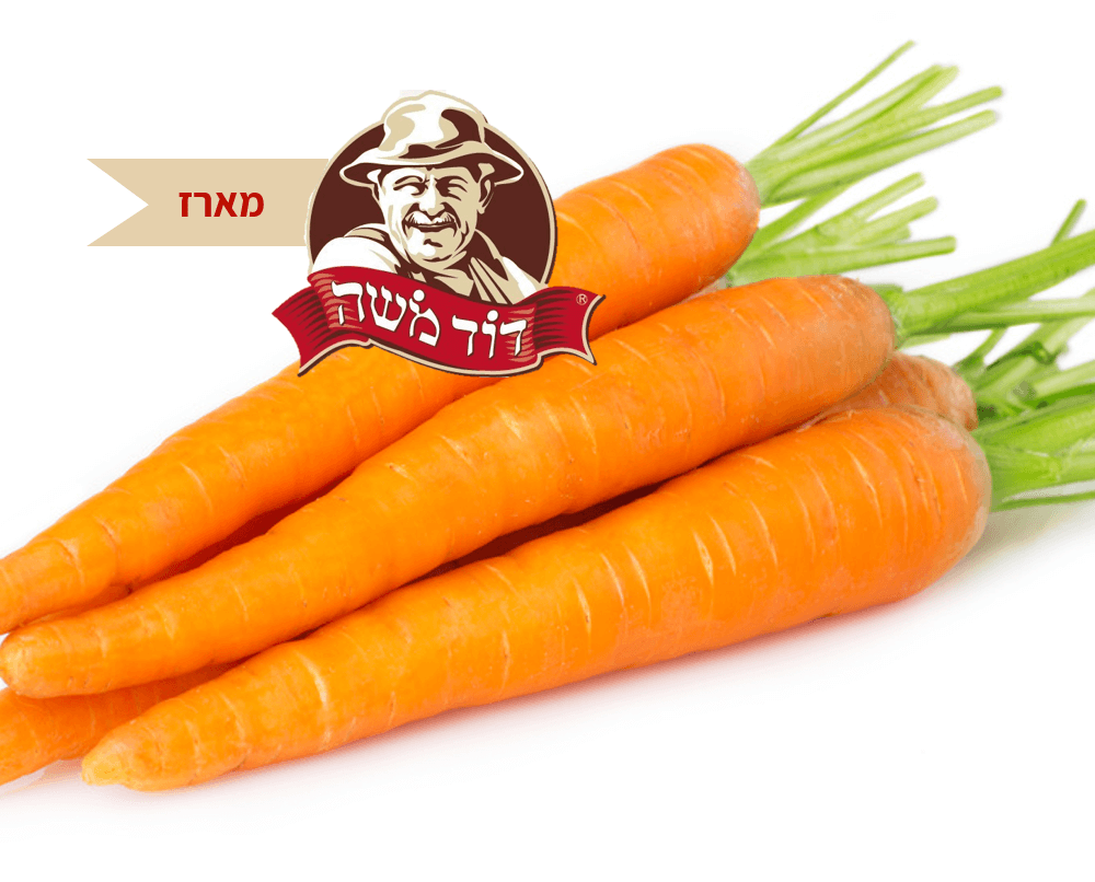 גזר