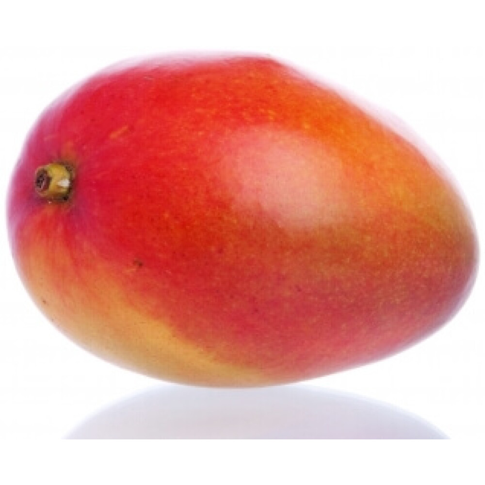 מנגו עומר