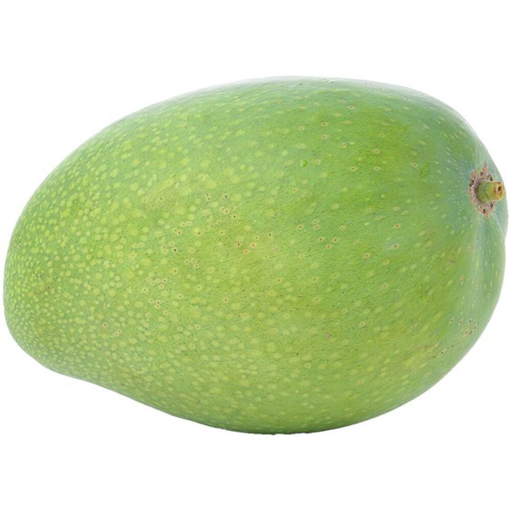 מנגו קיט